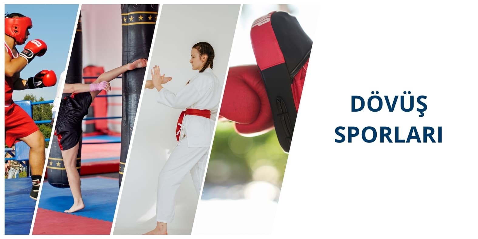 DÖVÜŞ SPORLARI