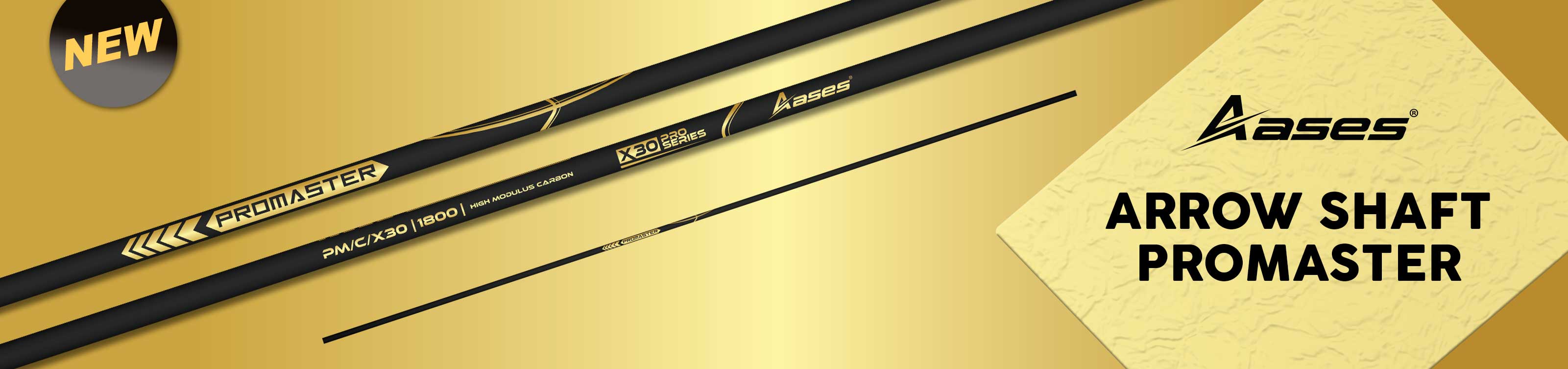 Ases Promaster