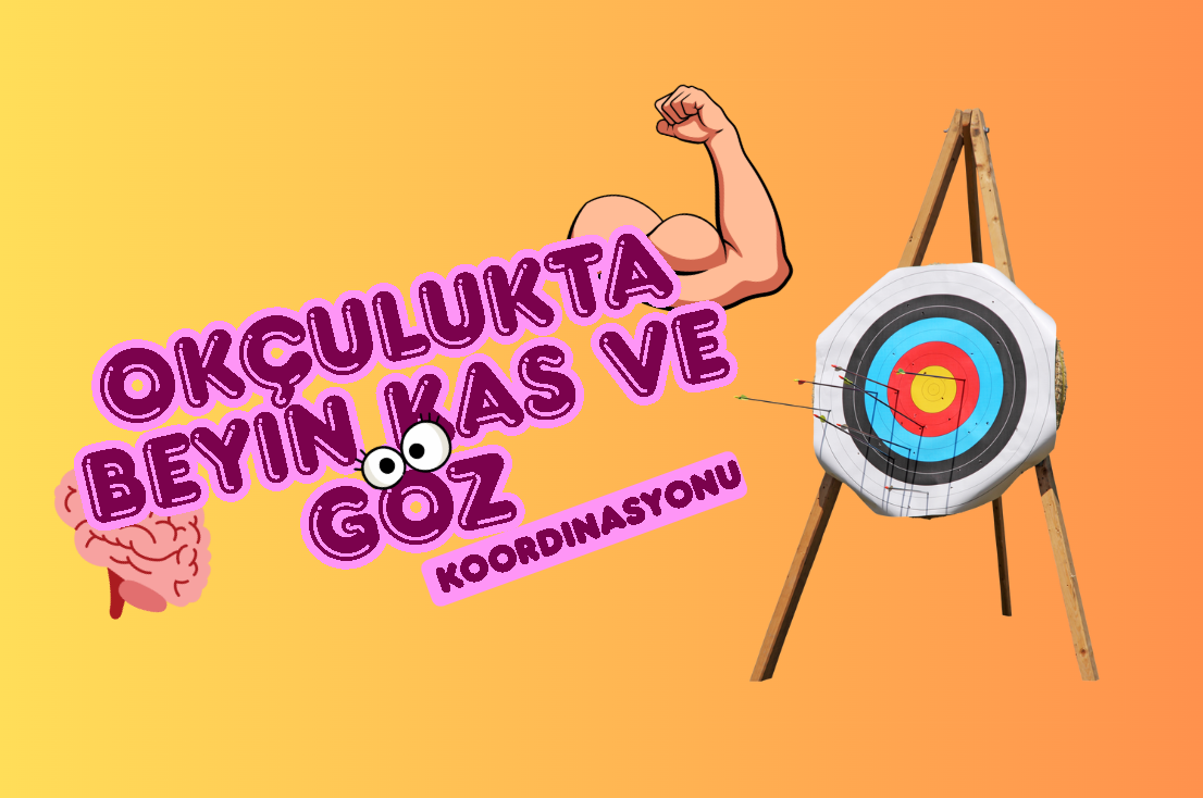 Okçulukta Beyin, Kas ve Göz Koordinasyonu: İnsan Vücudunun Mükemmel Senfonisi