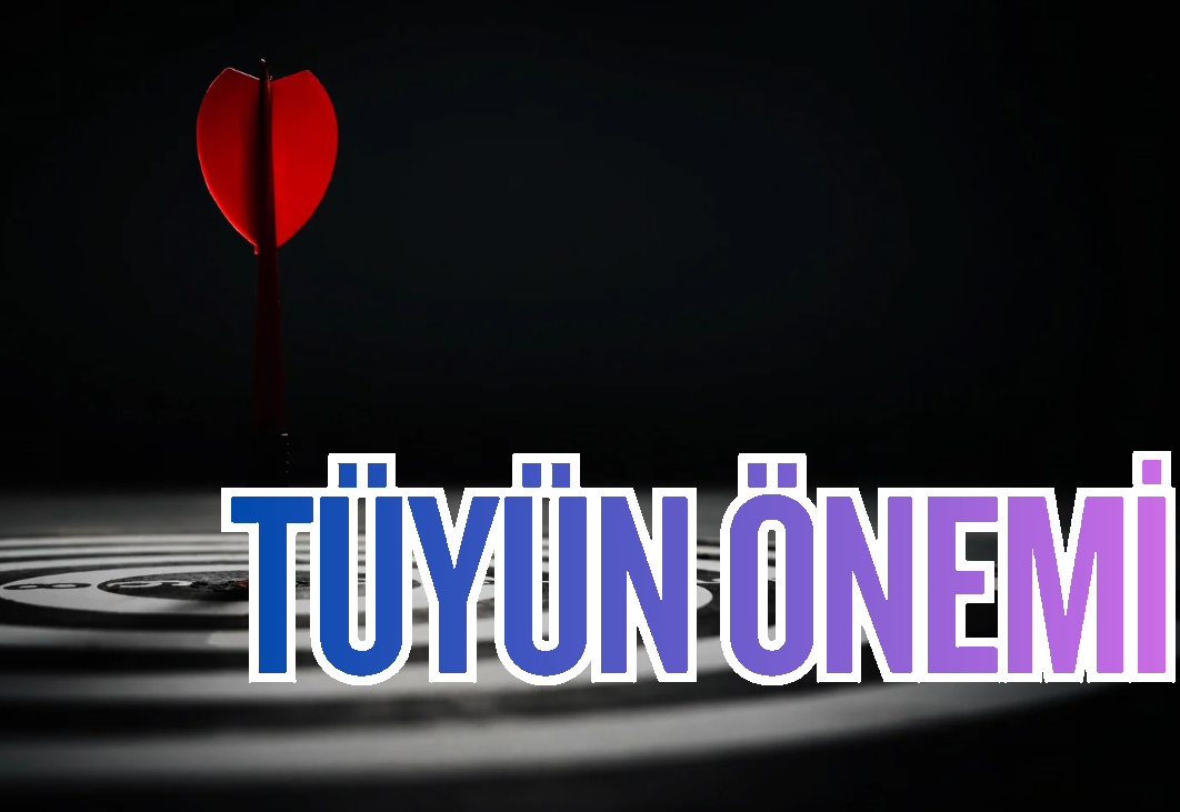 🪶 Okta Tüyün Önemi: Uçuşun Dengesini Belirleyen Gizli Kahraman