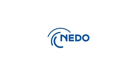 Nedo