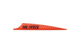 Arizona Vanes Traditional Hybrid Phnx 3.75'' - 7