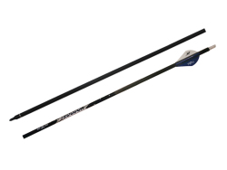 Ases Arrow Troodon - Ases