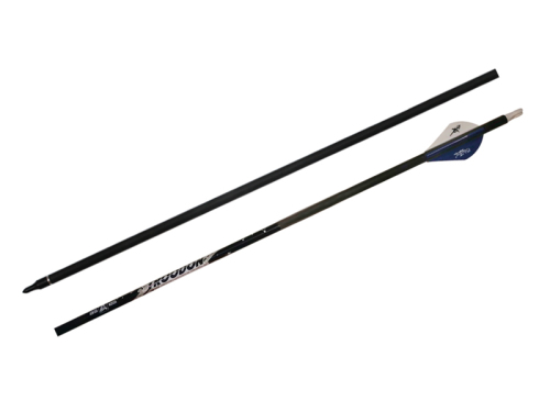 Ases Arrow Troodon - 1