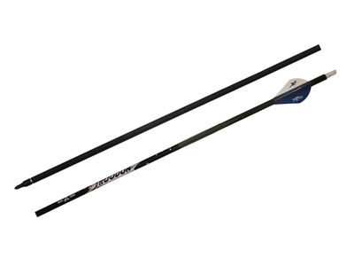 Ases Arrow Troodon - 1