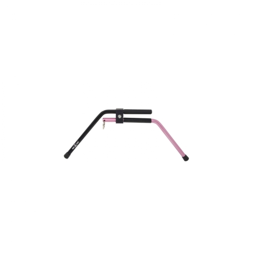 Ases Bow Stand Compound - 4