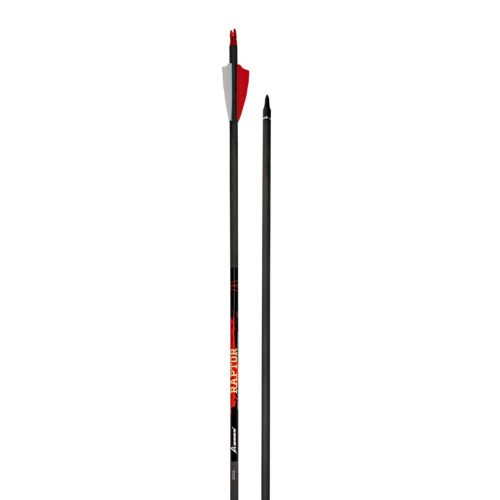 Ases Ok Raptor - 3