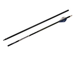 Ases Ok Troodon - ASES