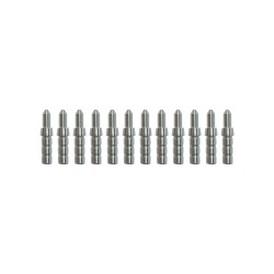 Ases Pin Promaster - 1