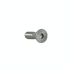 ASES - Ases Sight Screw (1)