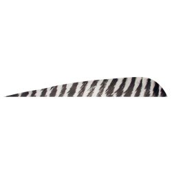 Gateaway Feather Parabolic Barred 4.0