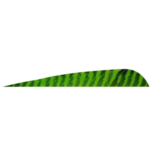 Gateaway Feather Parabolic Barred 4.0