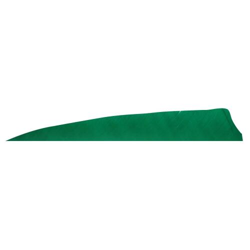 Gateaway Feather Shield 3.0
