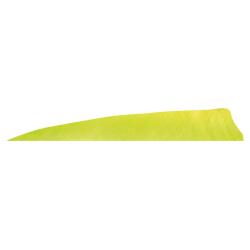 Gateaway Feather Shield 3.0