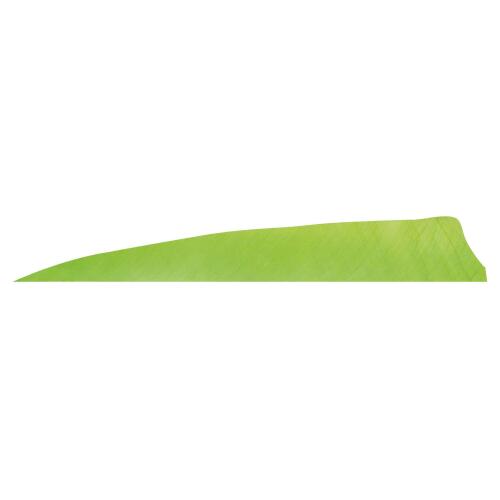 Gateaway Feather Shield 3.0