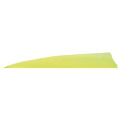 Gateaway Feather Shield 4.0