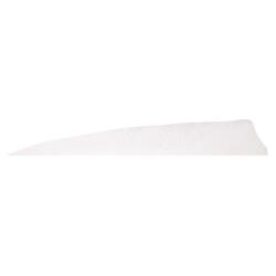 Gateaway Feather Shield 4.0