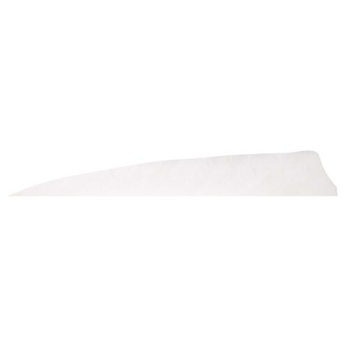 Gateaway Feather Shield 4.0