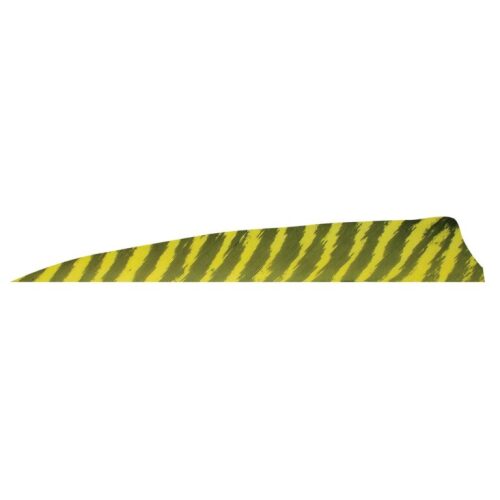 Gateaway Feather Shield Barred 4.0