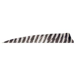 Gateaway Feather Shield Barred 4.0