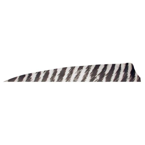 Gateaway Feather Shield Barred 4.0