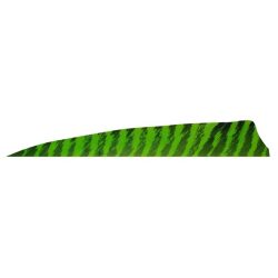 Gateaway Feather Shield Barred 4.0