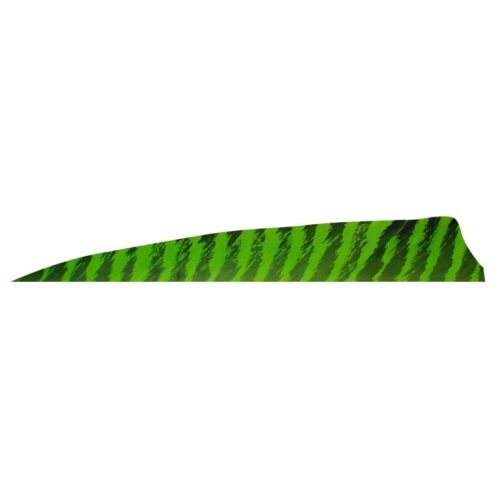 Gateaway Feather Shield Barred 4.0