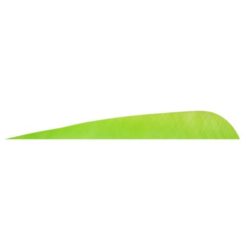 Gateway Naturel Tüy Parabolic 5