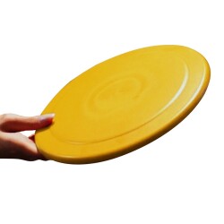 Helix Frisbee - 2