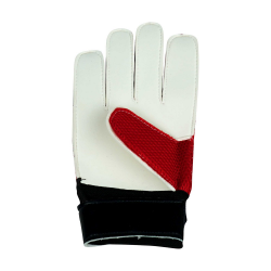 Helix Goalkeeper Gloves - HELIX (1)