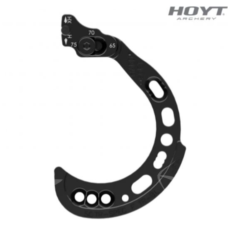 Hoyt Modules SPEC - 1