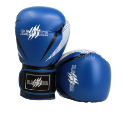 Raptor Boxing Gloves - 3