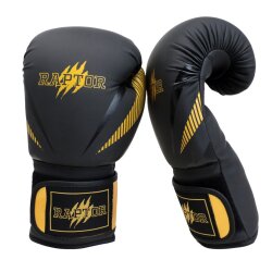 Raptor Boxing Gloves - 2