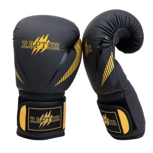 Raptor Boxing Gloves - 2