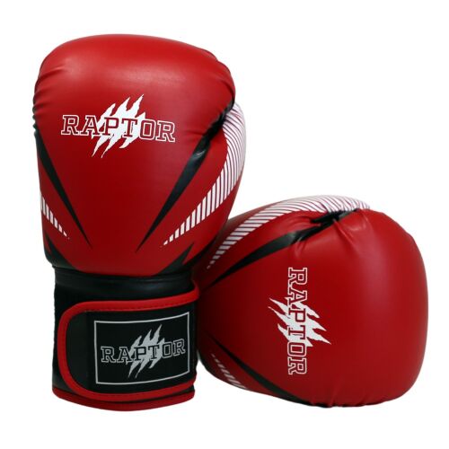Raptor Boxing Gloves - 4