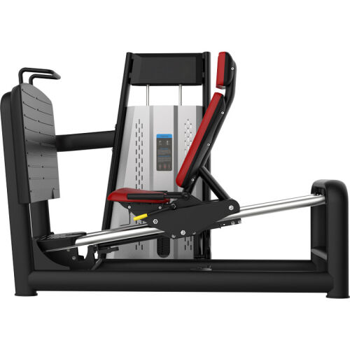 Raptor Horizontal Leg Press - 1