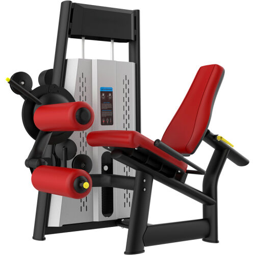 Raptor Leg Curl &Extension - 1