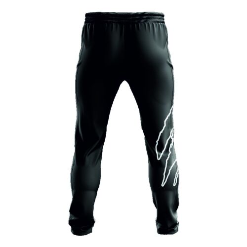 Raptor National Team Tracksuit Bottoms - 2