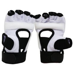 Raptor Taekwondo Glove - Raptor (1)