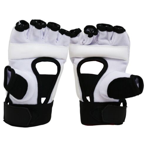 Raptor Taekwondo Glove - 2