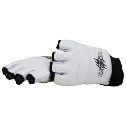 Raptor Taekwondo Glove - 3