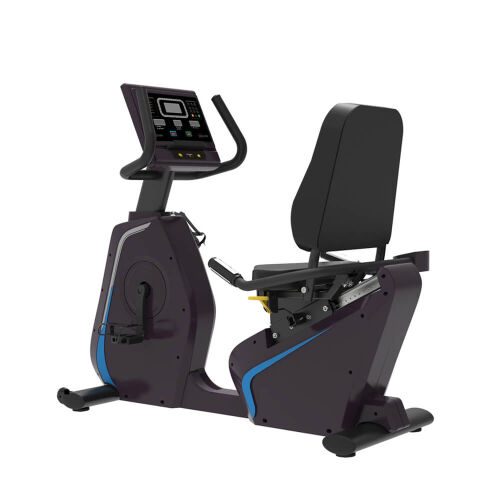 Vortex Recumbent Exercise Bike - 1