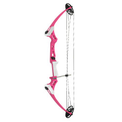 Impetus Compound Bow F3 - 3