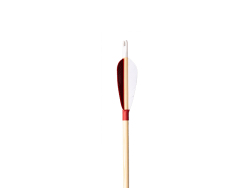 Ottoman Arrow Wood Plastic-Nock - 6