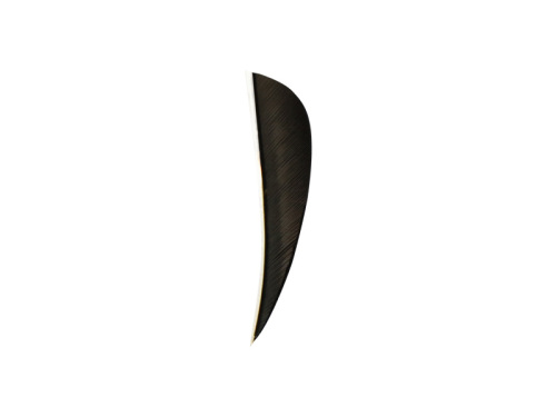 Ottoman Feather Parabolic 3'' - 5