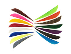 Ottoman Feather Parabolic 4'' - 16
