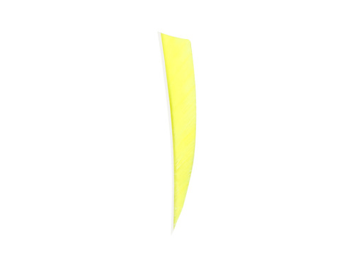 Ottoman Feather Shield 4'' - 5