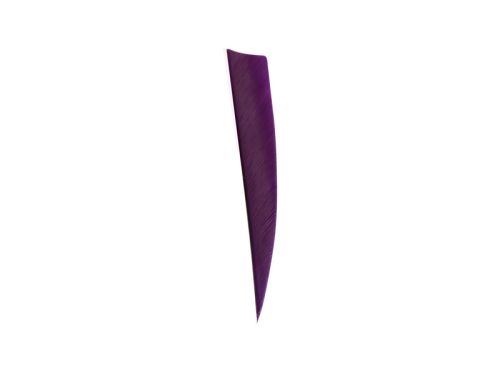 Ottoman Feather 4