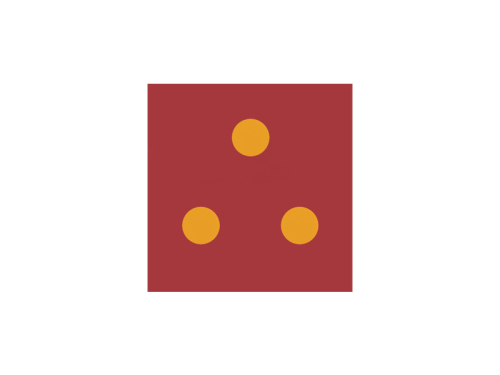 Pars Hedef Minderi XPE Vegas Insert 47x47x24cm - 1