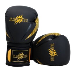 Raptor Boxing Gloves - 1